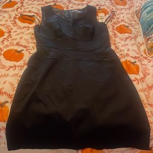 Newest tags Calvin Klein, black midi dress size 12 back zip up